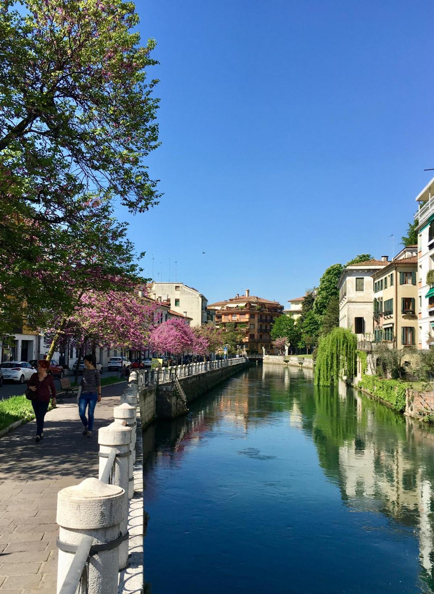 Maison Altinia Hotel Treviso Eksteriør billede